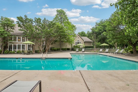 A swimming pool surrounded by trees and a house in the background.