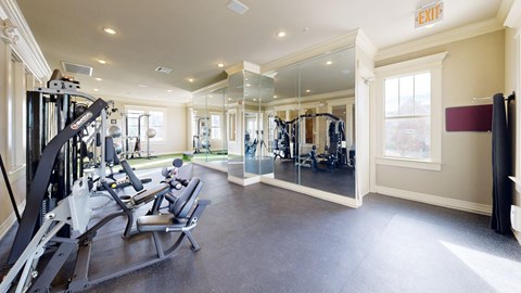 A gym with a variety of equipment including treadmills, weights, and a squat rack.