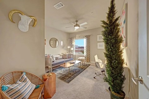 A living room with a couch, a chair, a potted tree, and a ceiling fan.