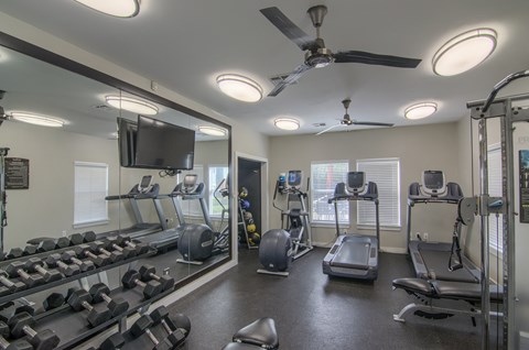 A spacious gym with a variety of equipment including treadmills, dumbbells, and a television.
