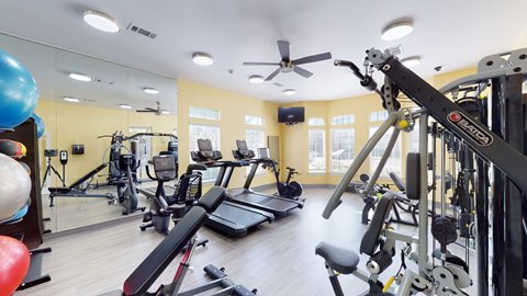 A gym with a variety of equipment including treadmills, weights, and a television.