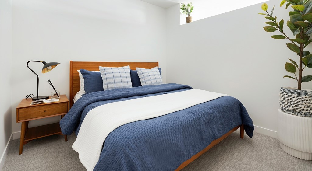 A bed with blue bedding and a wooden headboard sits in a room with a lamp and a plant.