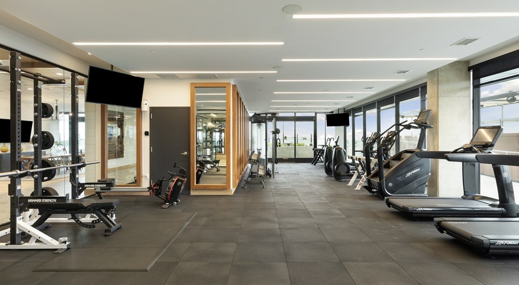 A gym with treadmills, weights, and exercise equipment.
