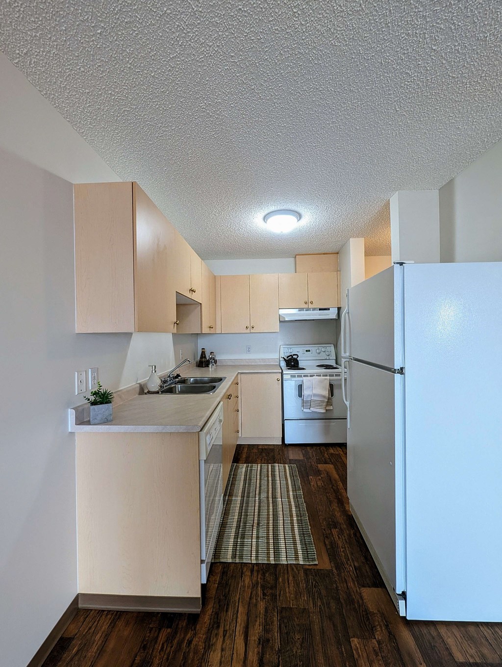 Narrow kitchen here at Aspen Terrace Apartment Homes with light wood cabinets, white appliances, and a striped rug on dark wood floor. A small plant and dish soap are on the counter.