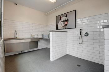 Park on Central Dog Wash and Grooming Station