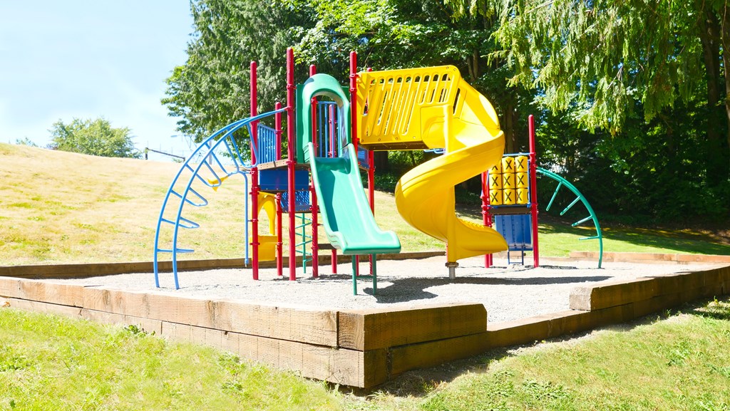 A playground with a green slide and a yellow slide.