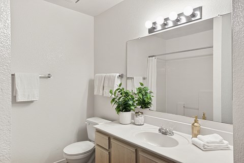 A bathroom with a toilet, sink, mirror, and a potted plant.