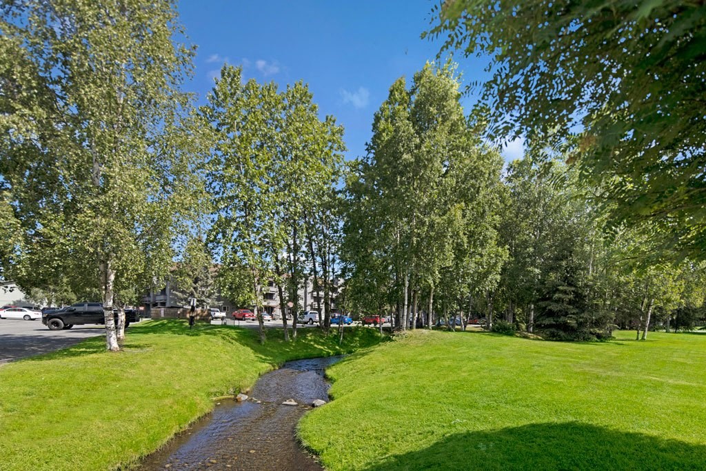 A serene park scene here at Russian Jack Apartments with a narrow stream winding through lush green grass. Tall trees provide shade under a clear blue sky, creating a peaceful atmosphere.