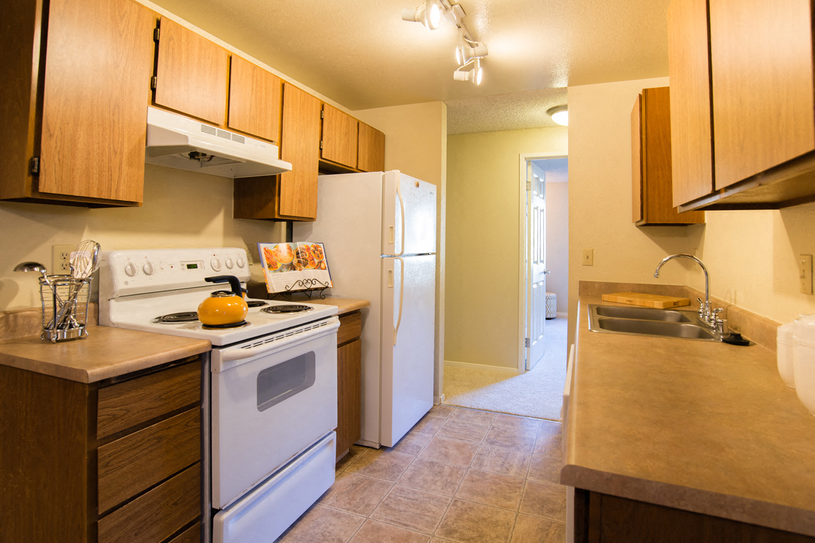 The Ridge And The Shores