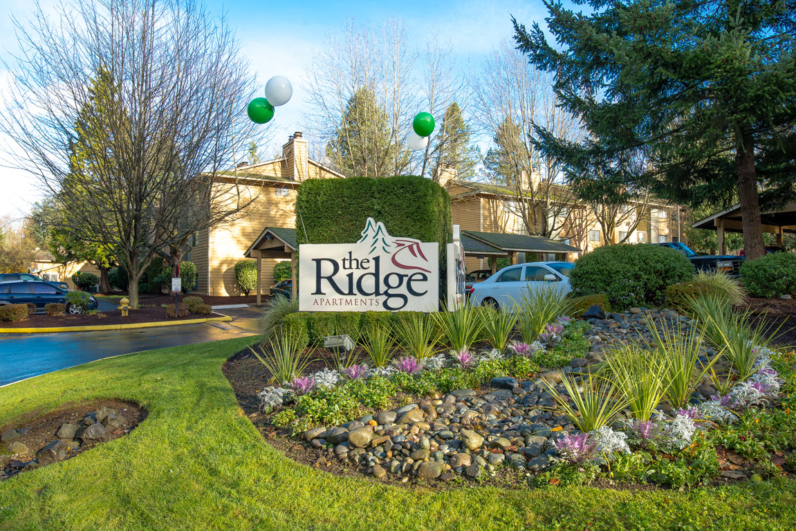 The Ridge And The Shores