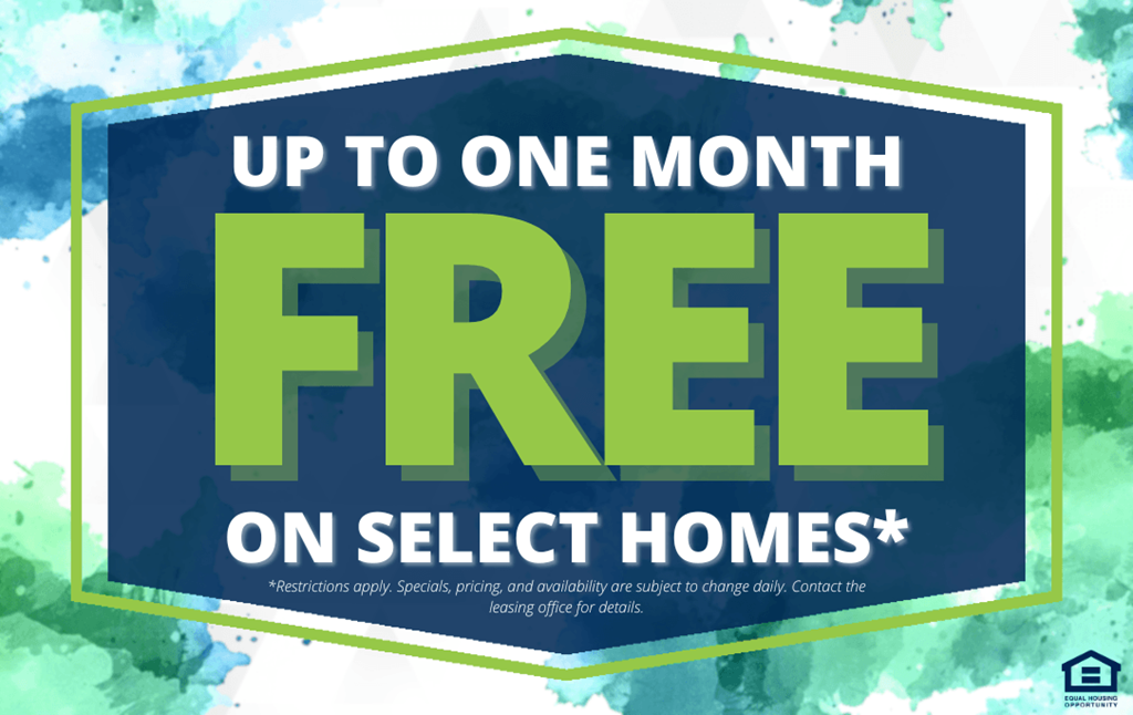 Velo On The Boulevard