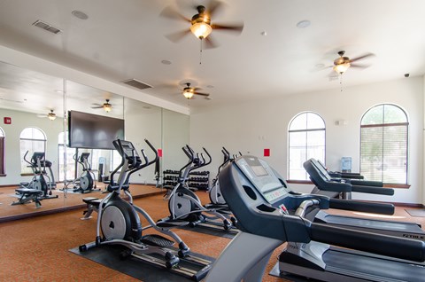 A spacious fitness center here at Andalucia Villas with modern cardio equipment including treadmills and ellipticals, free weights along a mirrored wall, and large arched windows that bring in natural light, creating a bright and motivating workout environment.