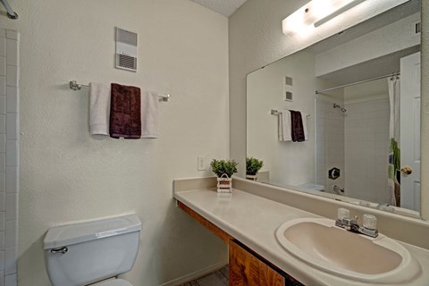 A white toilet sits next to a sink in a bathroom.
