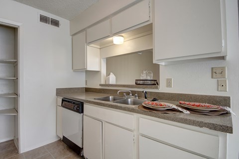 A kitchen with a white counter and a dishwasher.
