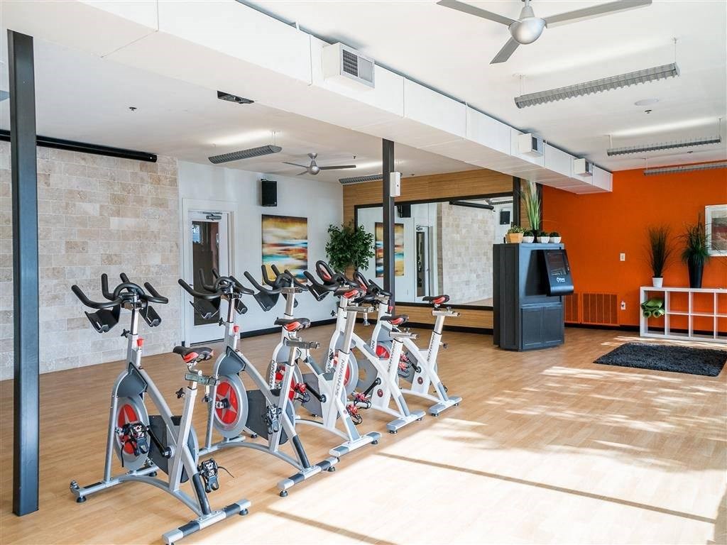 a row of exercise bikes in a fitness room