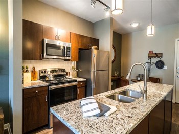 305 River Fern Ave Studio-3 Beds Apartment, Texas for Rent - Photo Gallery 4