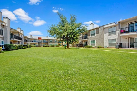 A spacious outdoor courtyard here at High Plains with a wide, manicured green lawn surrounded by apartment buildings featuring private balconies and large windows. A mature tree sits at the center of the space, creating a bright, open, and welcoming community setting under clear blue skies.