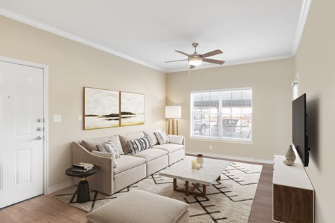 A living room with a grey couch, a coffee table, and a television.