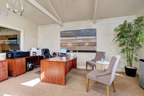 A room with a desk, chairs, and a potted plant.