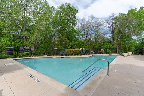 A small pool surrounded by trees and a fence.