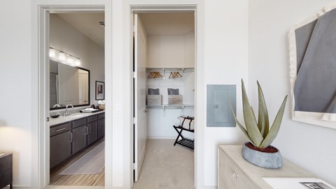 A bathroom with a sink, mirror, and a plant.