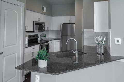 A kitchen with a black granite countertop and stainless steel appliances.