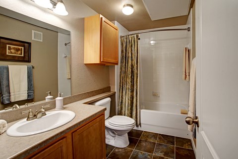 A bathroom with a toilet, sink, and shower.