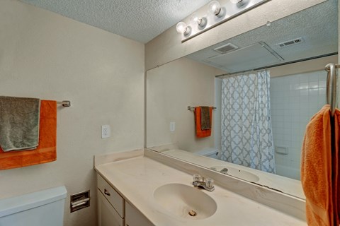 A bathroom with a white sink and a mirror above it.