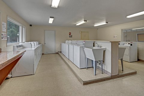 Spacious laundromat here at The Club at Eagle Pointe Apartments with rows of white washing machines and dryers, bright fluorescent lighting, and a central utility sink. Neutral, clean atmosphere.