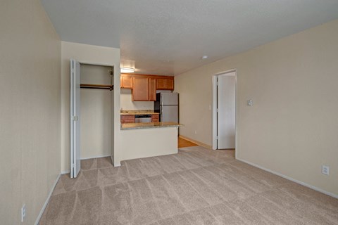 Compact apartment interior here at The Club at Eagle Pointe Apartments with beige walls and carpet. Features a small kitchen with wooden cabinets, stainless steel appliances, and a closet on the left.