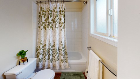 Small bathroom here at the Village at Calais Apartments with a white toilet topped with a plant, a green-and-white leaf-patterned shower curtain, and a window. A towel hangs on a rail.