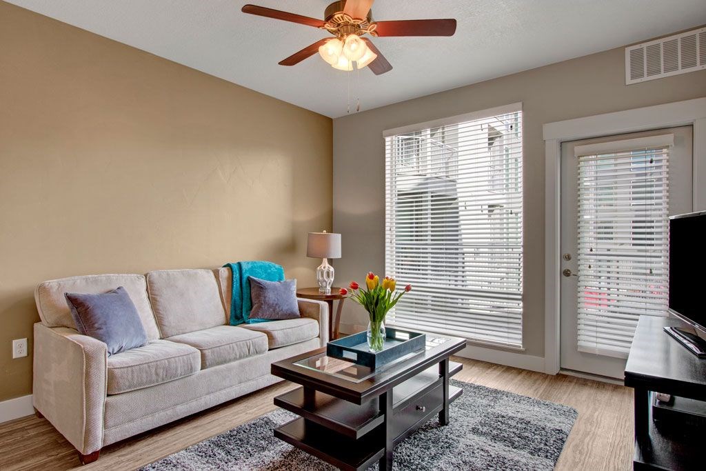 Velo On The Boulevard