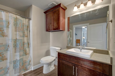 A bathroom with a toilet, sink, and shower curtain.