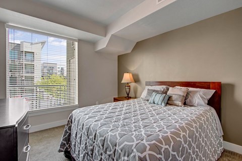 A bright bedroom here at Velo on the Boulevard with a wood bed frame, patterned gray bedding, bedside lamp, soft carpet, and a large window with blinds bringing in natural light and neighborhood views.