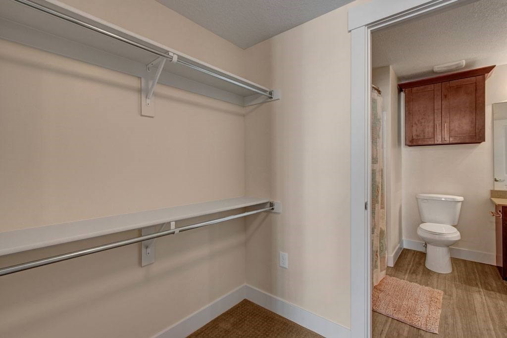 Velo On The Boulevard