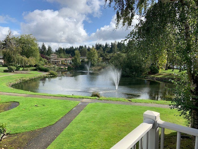 A fountain in the middle of a pond in a park.
