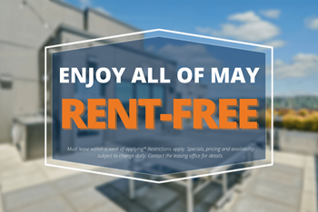 Vive May Rent Free - Photo Gallery 2
