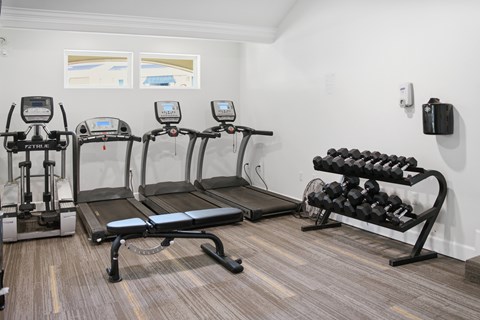 A gym with treadmills, a rowing machine, dumbbells and a bench press.