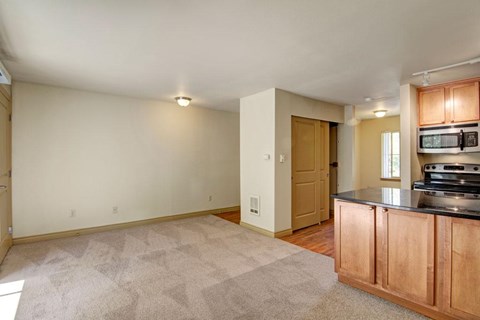 A kitchen area with a counter and cabinets.