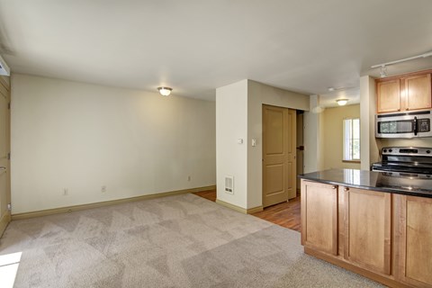 A kitchen area with a counter and cabinets.