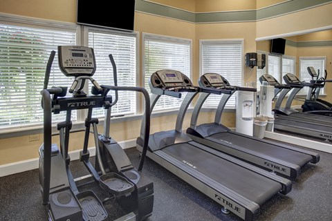 A gym with treadmills and elliptical machines.