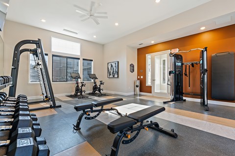 A spacious home gym with a variety of equipment including a bench press, a squat rack, and a treadmill.