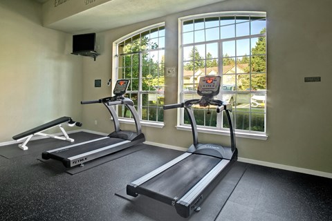 A gym with treadmills and a television.