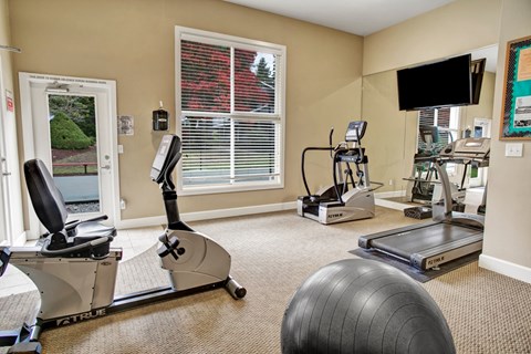 A compact fitness room here at Colonial Square featuring cardio equipment including a treadmill, stationary bike, and elliptical machine, complemented by a wall mirror, mounted television, large window with blinds bringing in natural light, and neutral carpeting that creates a clean and functional workout space.
