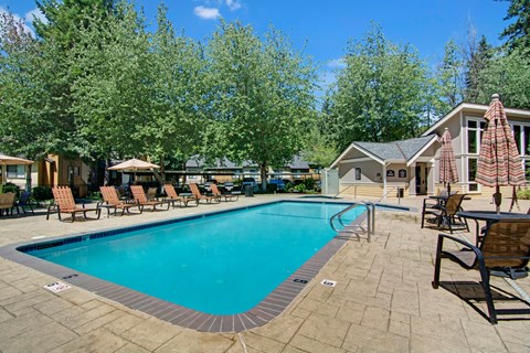 Large swimming pool surrounded by lounge chairs and umbrellas.