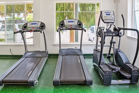 Three treadmills are lined up in a row in a gym.