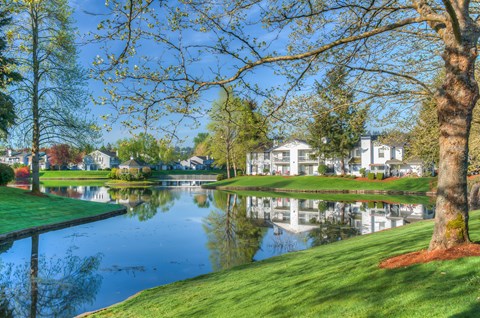 A serene lake in a park with houses in the background.