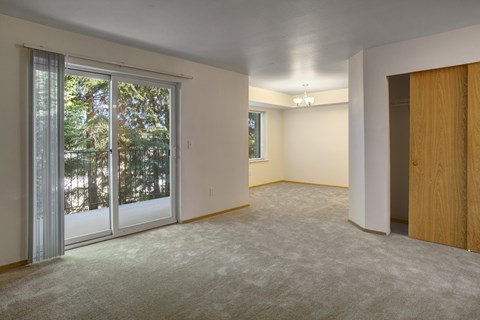 A room with a sliding glass door and carpeted floor.