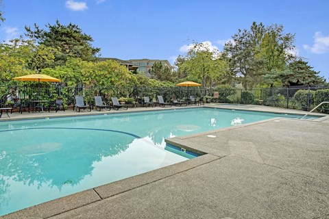 A large outdoor swimming pool surrounded by trees and umbrellas.
