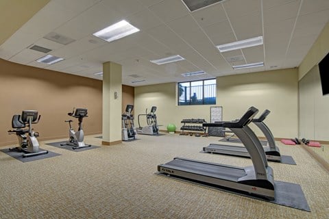A gym with treadmills and exercise equipment.